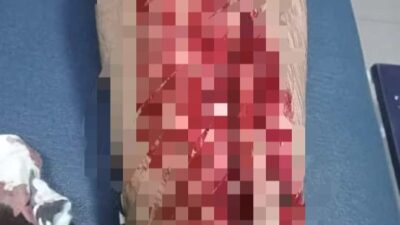 Seorang Warga Muna Barat Diterkam Buaya di Sungai Lasama