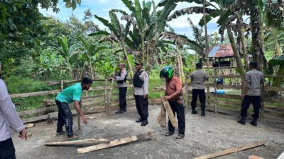 Polres Muna Grebek Arena Judi Sabung Ayam di Muna Barat