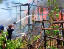 Si Jago Merah Lahap Rumah Milik Warga di Muna