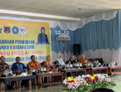 Ketua Pembina Posyandu Sulawesi Tenggara Pastikan 6 SPM Terpenuhi 