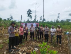 Polres Buton Tengah Dukung Program Ketahanan Pangan Panen 1,5 Ton Jagung
