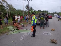 Dua Warga Buton Tengah Tewas Akibat Tabrak Mobil Box