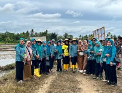 TP PKK Muna Barat Bersinergi Tingkatkan Kesejahteraan Petani