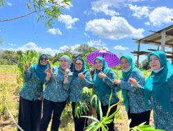 TP PKK Muna Barat Turut Sukseskan Program Ketahanan Pangan