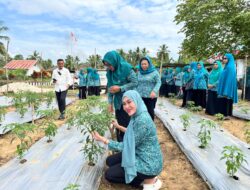 TP PKK Muna Barat Turut Andil Tekan Inflasi