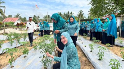 TP PKK Muna Barat Turut Andil Tekan Inflasi