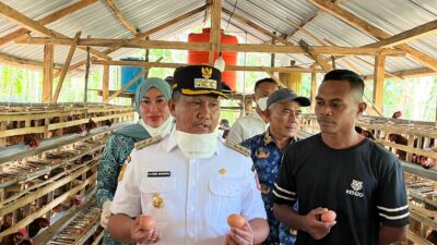 Bupati Target Muna Barat Jadi Penyuplai Telur