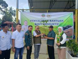 Sosialisasi Rehabilitasi Lahan, Jaelani Serahkan Ribuan Bibit Produktif di Muna Barat