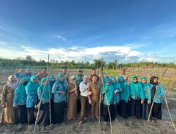 Ketua TP PKK Muna Barat Tinjau Langsung Progres Penyemaian Bibit