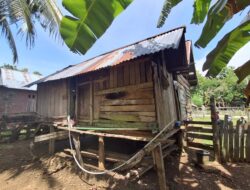 Derita Lansumalo, Kakek di Muna Barat Hidup dengan Cucu Yatim Tanpa Bantuan Pemerintah