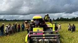 Kelompok Tani Wulanga Jaya Apresiasi Bantuan Combain Harvester, Panen Padi Jadi Lebih Cepat