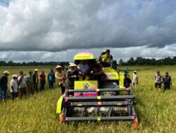 Kelompok Tani Wulanga Jaya Apresiasi Bantuan Combain Harvester, Panen Padi Jadi Lebih Cepat