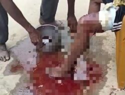 Seorang Kakek Luka Digigit Buaya Saat Mandi di Sungai Tiworo