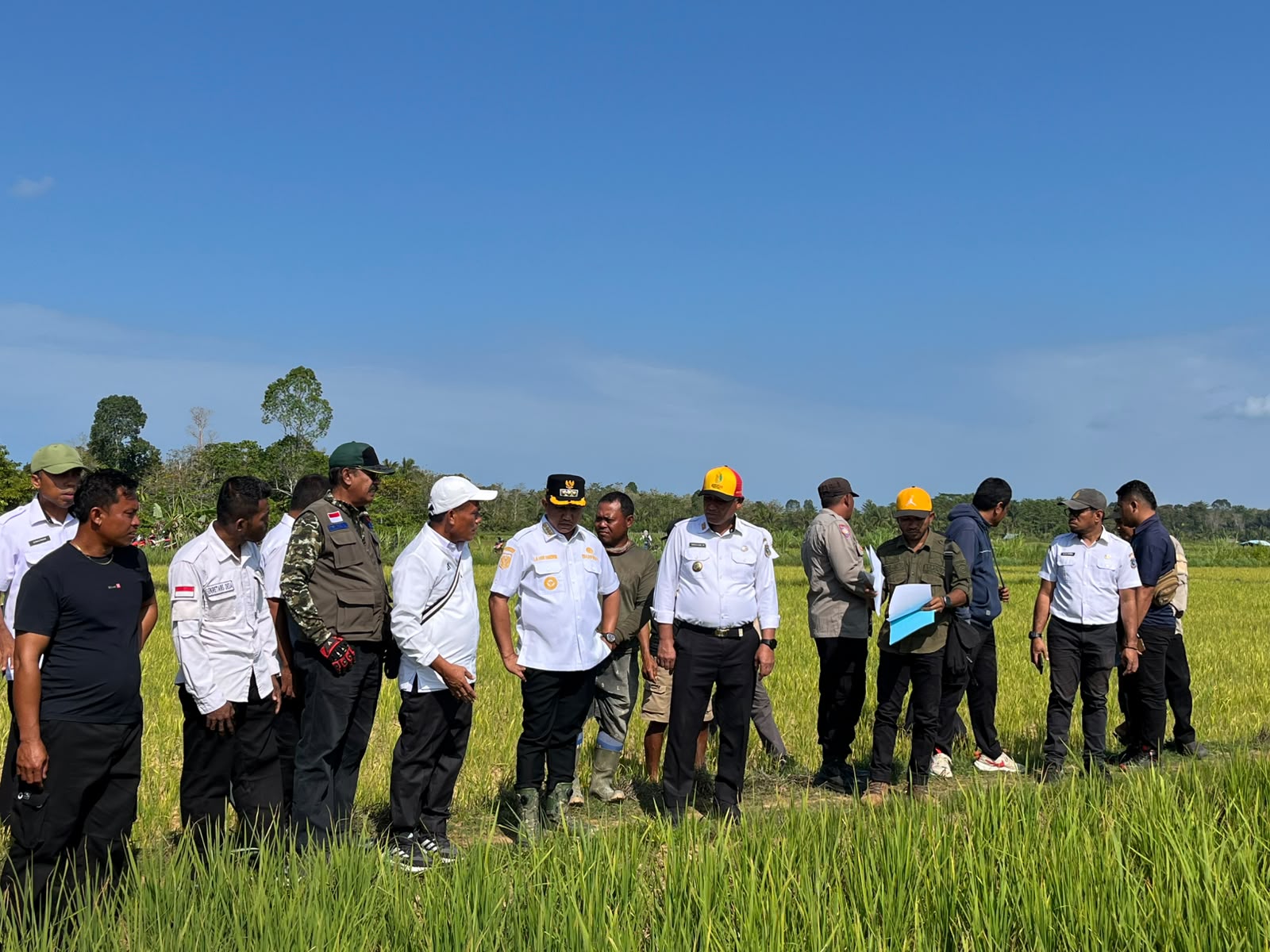 Kunjungan Bupati Muna Barat bersama jajaran Pemda untuk mengecek sawah di Desa Kasimpa Jaya, Tiworo Selatan (Publik Reaction)